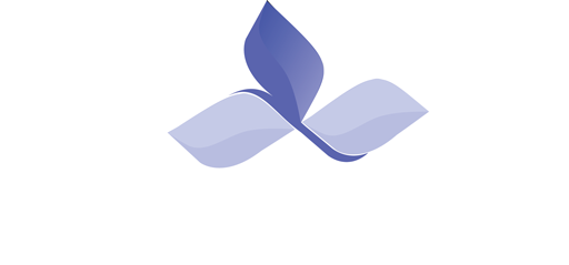 Bluebell Digital
