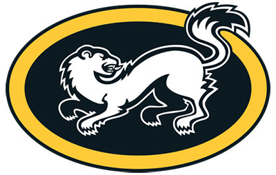 Kärpät